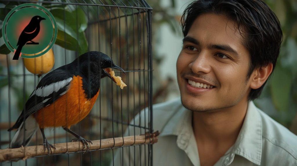 12 Buah Favorit Murai Batu Yang Penuh Nutrisi dan Bikin Gacor!